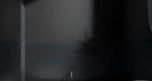 Embracing the Shadows: Transforming Small Bathrooms with Dark Wall Colors