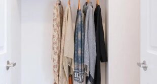 Maximize Your Space: Stylish Sliding Scarf Organizers for Small Closets