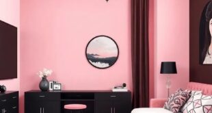 Chic Harmony: Embracing Black and Pink in Girls’ Room Decor