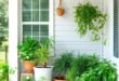 27 Screened Porch Plants That Double as Fresh Cooking Herbs for Your Culinary Delight