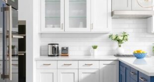 25 Stunning Ideas for White and Blue Kitchen Cabinets: Style Your Space with Elegance