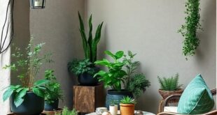 28 Patio Plants to Enhance Your Cooking with Fresh Herbs at Your Fingertips