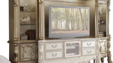 Our Honest Take on the Acme Dresden Entertainment Center’s Timeless Charm