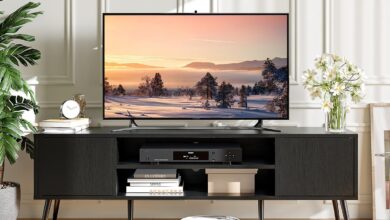 Our Take on the 58″ Mid-Century Modern TV Stand with Storage