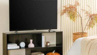 How We Loved This Modern, Adjustable TV Stand for Any Space