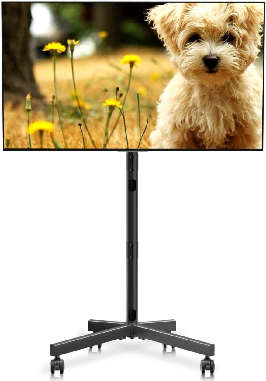 Our Take on the XINLEI Mobile TV Stand: Versatile and Stable Design